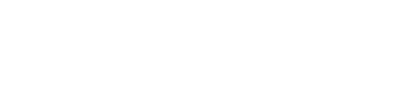 VAGTech